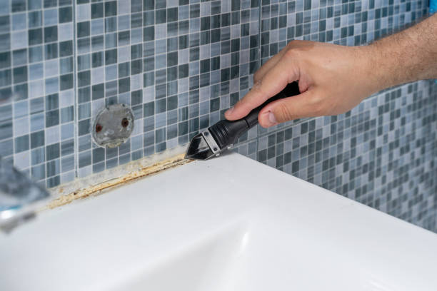 Best Home Mold Removal  in Monmouth, IL